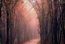 包含首都醫科大學附屬友誼醫院"掛號怎么找黃牛看病"的詞條